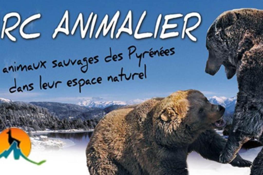 Le Cocon Pelerins Les Angles (Pyrenees-Orientales) Exterior foto